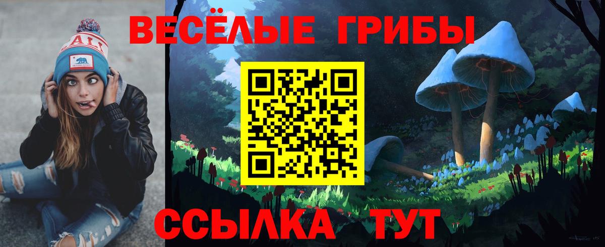 Полевской  Псилоцибиновые грибы мицелий  Вход с VPN  Псилоцибиновые грибы мицелий 